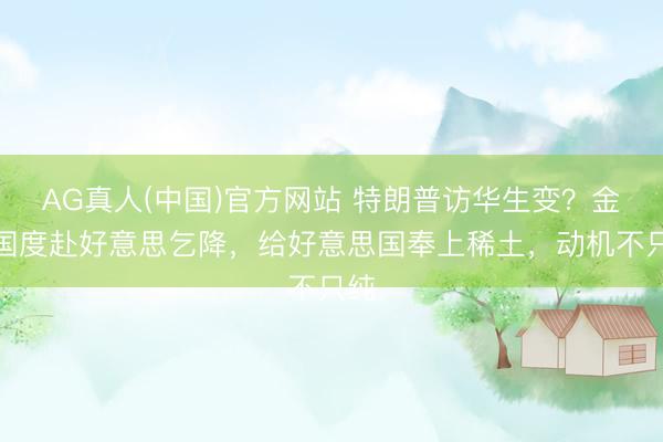 AG真人(中国)官方网站 特朗普访华生变?金砖国度赴好意思乞降,给好意思国奉上稀土,动机不只纯