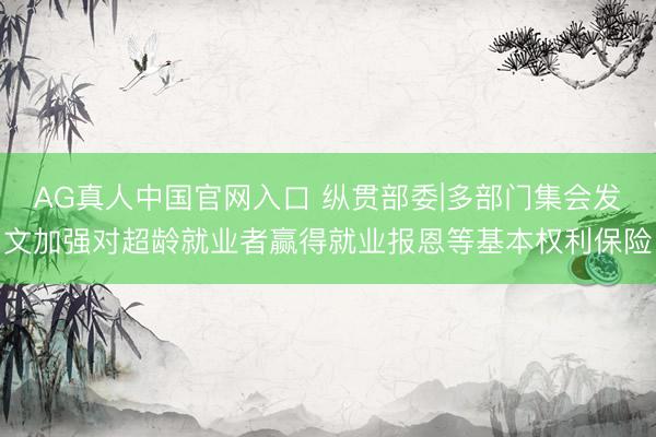 AG真人中国官网入口 纵贯部委|多部门集会发文加强对超龄就业者赢得就业报恩等基本权利保险