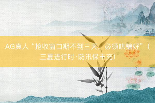 AG真人 “抢收窗口期不到三天，必须哄骗好”（三夏进行时·防汛保丰充）