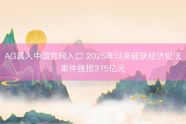 AG真人中国官网入口 2025年以来破获经济犯法案件挽损375亿元