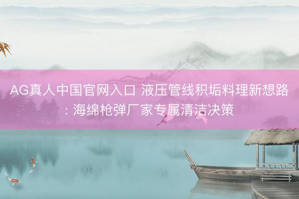 AG真人中国官网入口 液压管线积垢料理新想路: 海绵枪弹厂家专属清洁决策